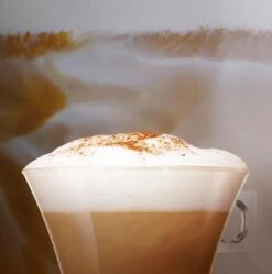 Nescafé Dolce Gusto Cappuccino Capsules - 90 Koffiecups 15 Nescafé Dolce Gusto Cappuccino Capsules - 90 Koffiecups -Koffieproducten 1190x1200 3