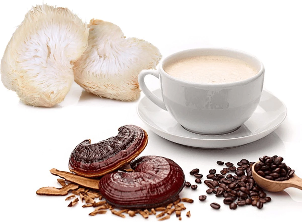 ToshiFarm Lion's Mane En Reishi Koffie - 250 Gram - Biologisch & Fair Trade - Verbetering In Concentratievermogen En Leervermogen - Filterkoffie Met Paddenstoel 10 ToshiFarm Lion's Mane En Reishi Koffie - 250 Gram - Biologisch & Fair Trade - Verbetering In Concentratievermogen En Leervermogen - Filterkoffie Met Paddenstoel - Afbeelding 8
