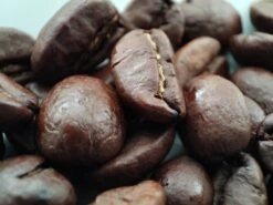 Voordeelpakket: Den Leeuw Lungo (80 Koffiecups) - Roast Koffiecups - Echte Hollandsche Koffie Van Den Leeuw In Nespresso Cups - Nespresso Compatibele Koffie Cups 12 Voordeelpakket: Den Leeuw Lungo (80 Koffiecups) - Roast Koffiecups - Echte Hollandsche Koffie Van Den Leeuw In Nespresso Cups - Nespresso Compatibele Koffie Cups -Koffieproducten 1200x900