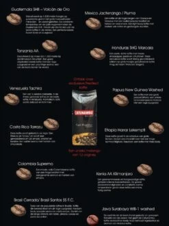 Catunambú Predilect Koffiebonen 500gram - Premium Kwaliteit Koffie - Horecakoffie Voor Thuis - Ultiem Koffiegenot 5 Catunambú Predilect Koffiebonen 500gram - Premium Kwaliteit Koffie - Horecakoffie Voor Thuis - Ultiem Koffiegenot -Koffieproducten 897x1200